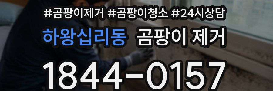 하왕십리동 곰팡이 제거