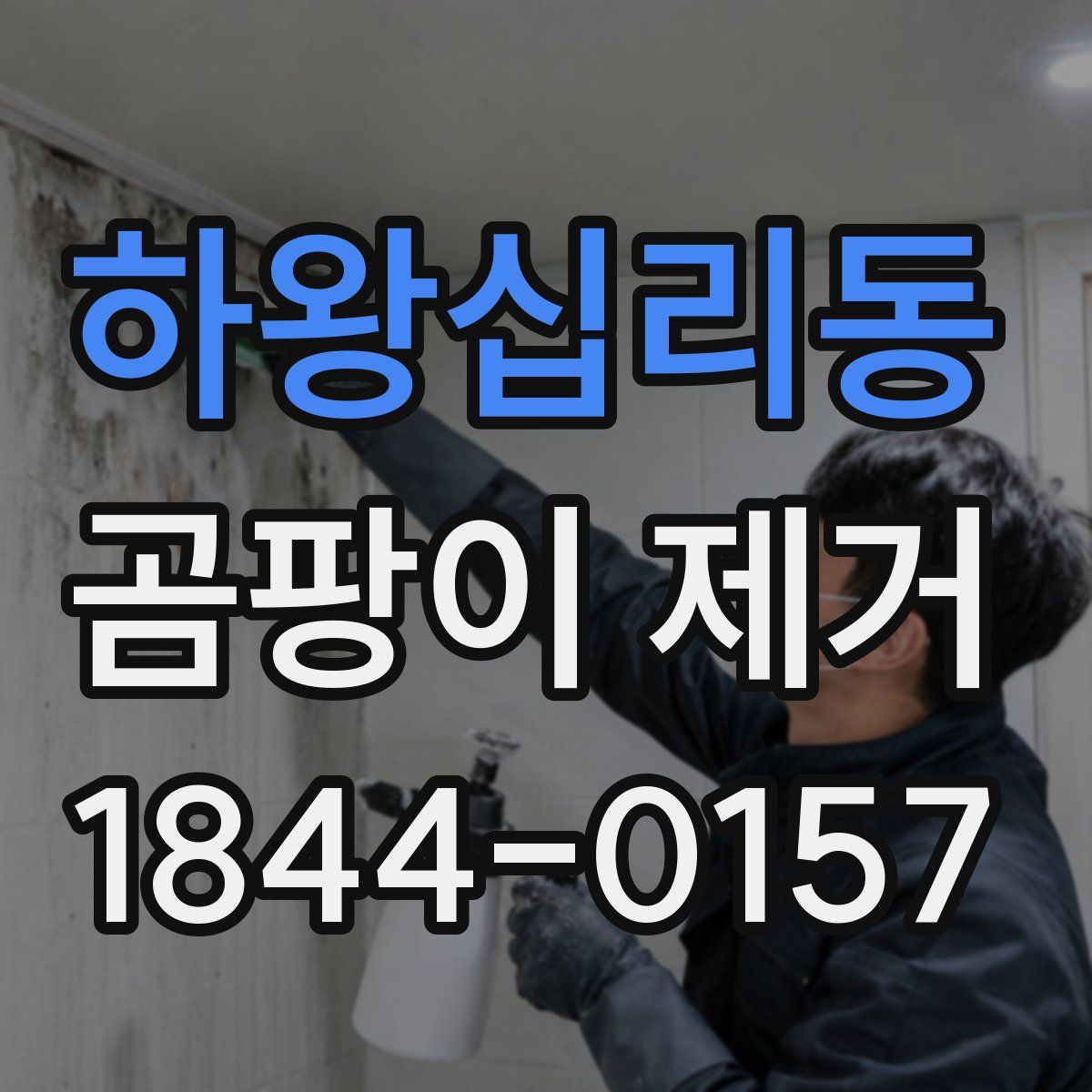 하왕십리동 곰팡이 제거