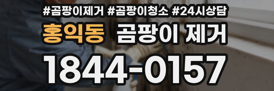 홍익동 곰팡이 제거