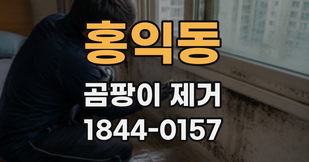 홍익동 곰팡이 제거