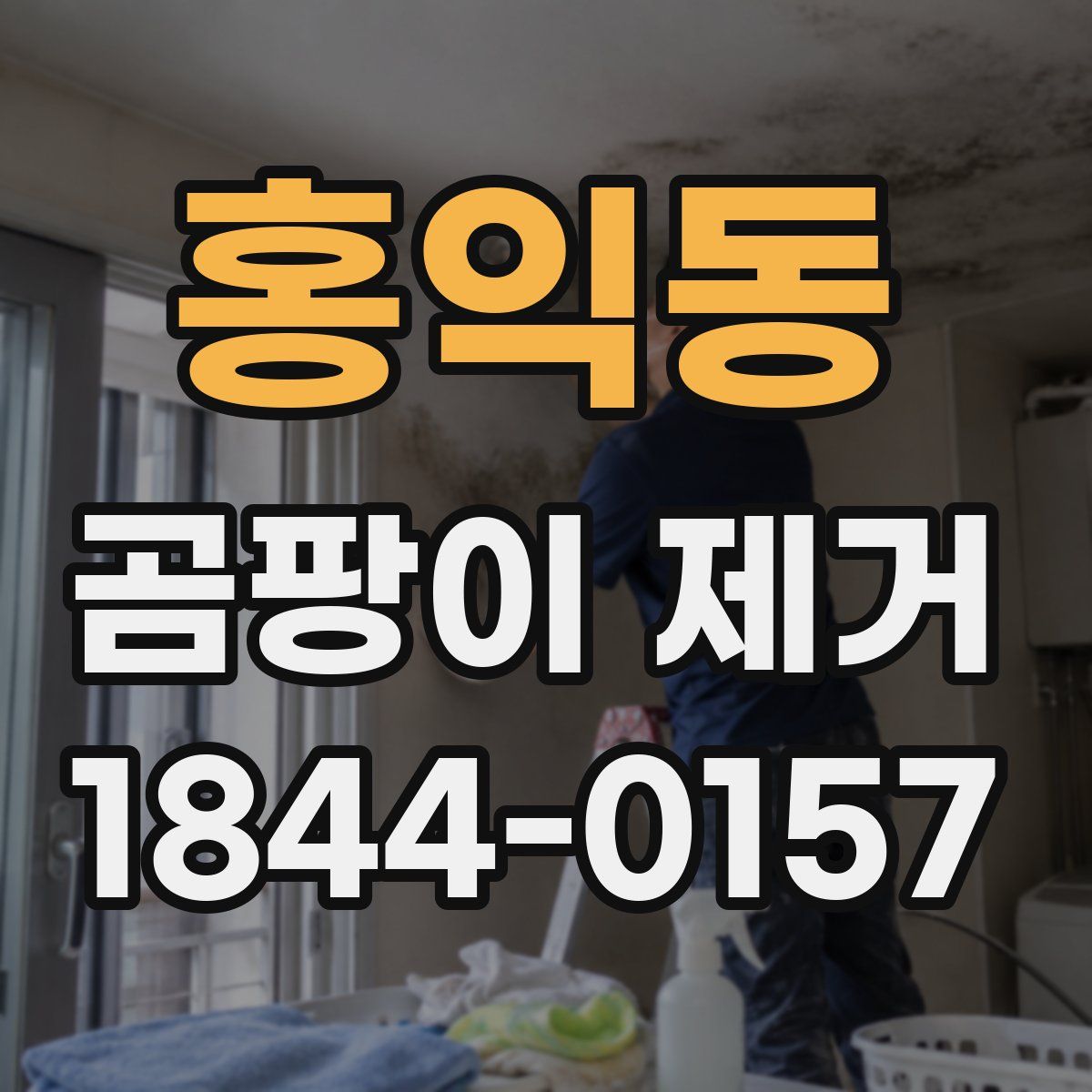 홍익동 곰팡이 제거