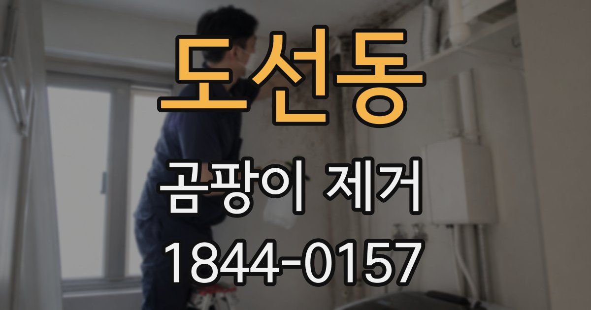 도선동 곰팡이 제거