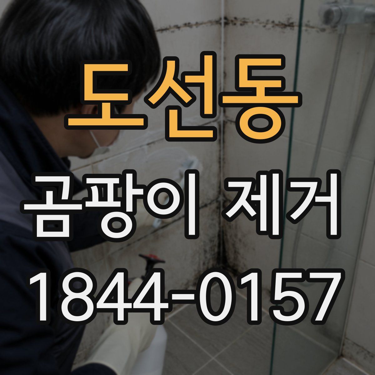 도선동 곰팡이 제거