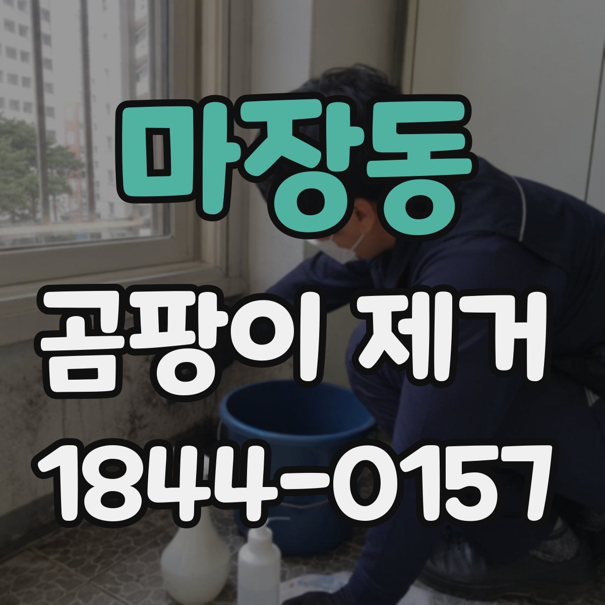 마장동 곰팡이 제거