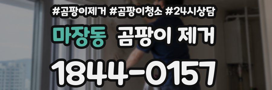 마장동 곰팡이 제거