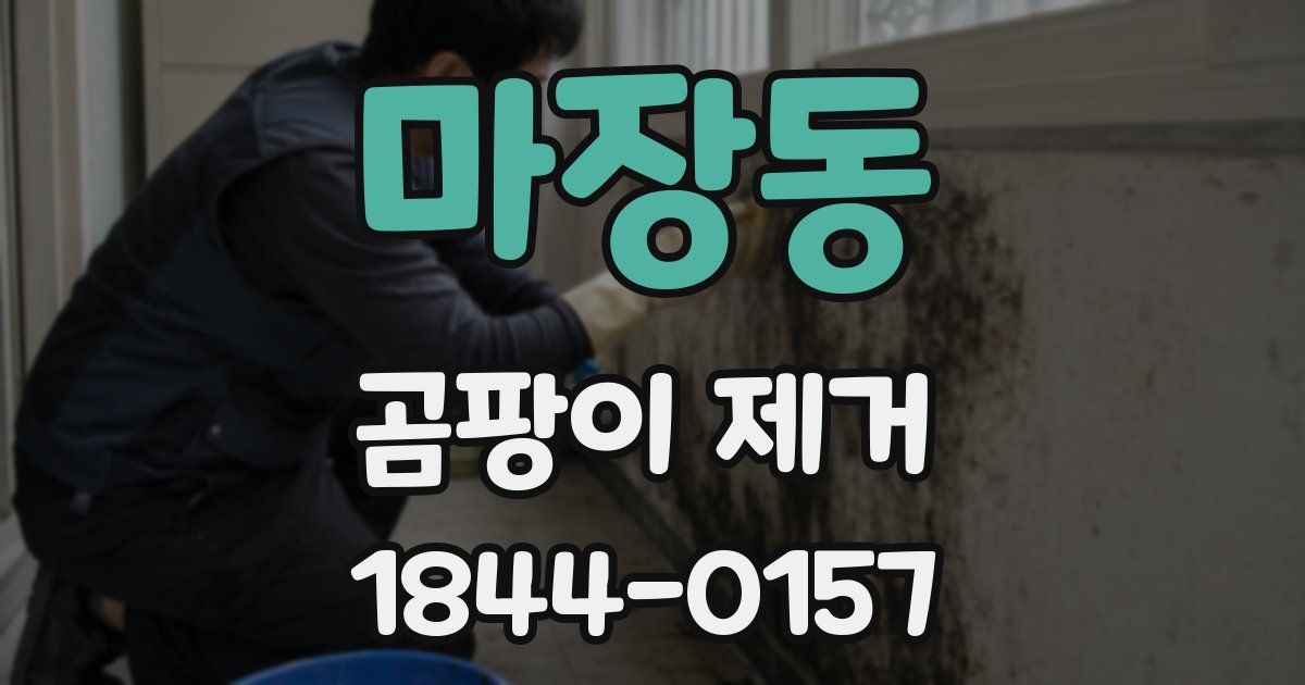 마장동 곰팡이 제거