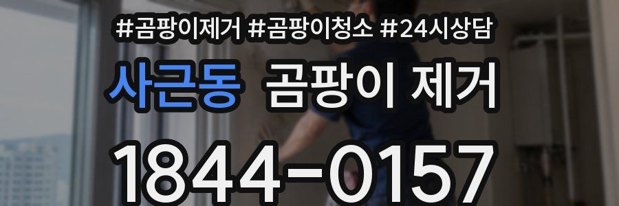 사근동 곰팡이 제거