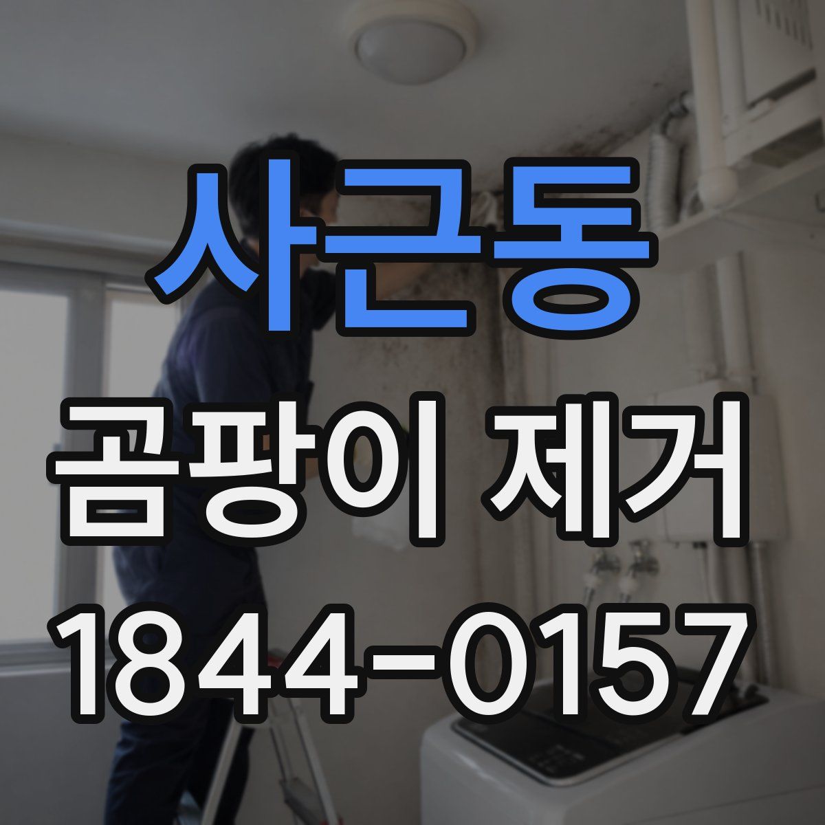 사근동 곰팡이 제거