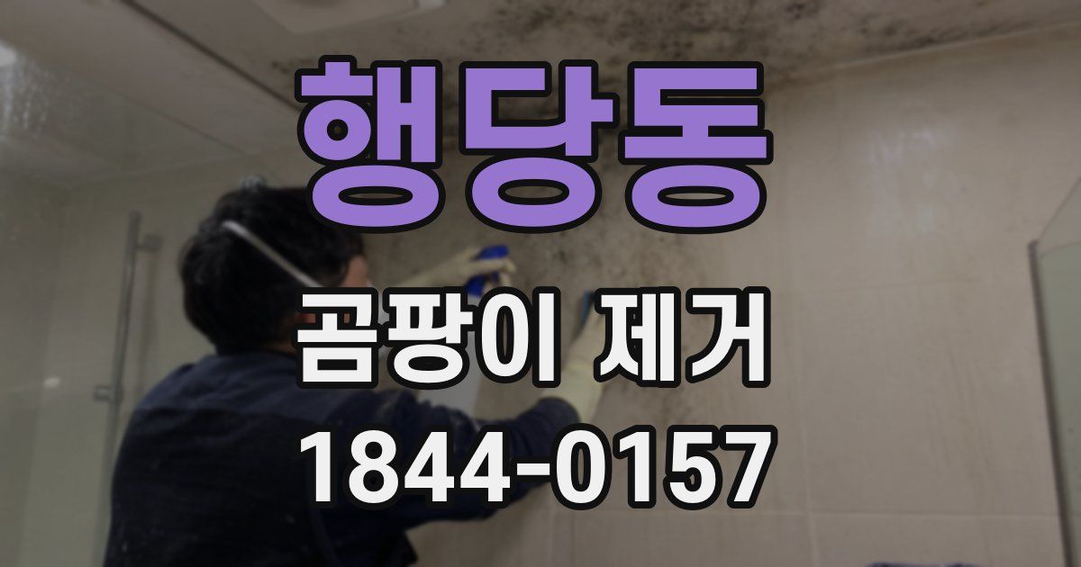 행당동 곰팡이 제거