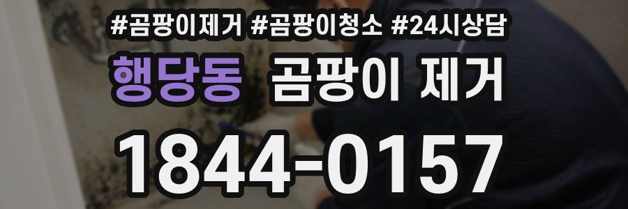 행당동 곰팡이 제거