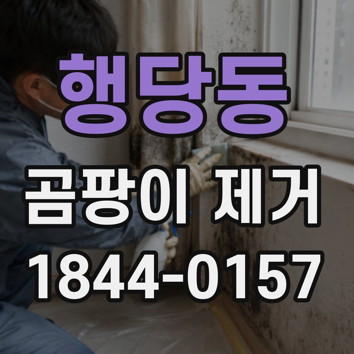 행당동 곰팡이 제거