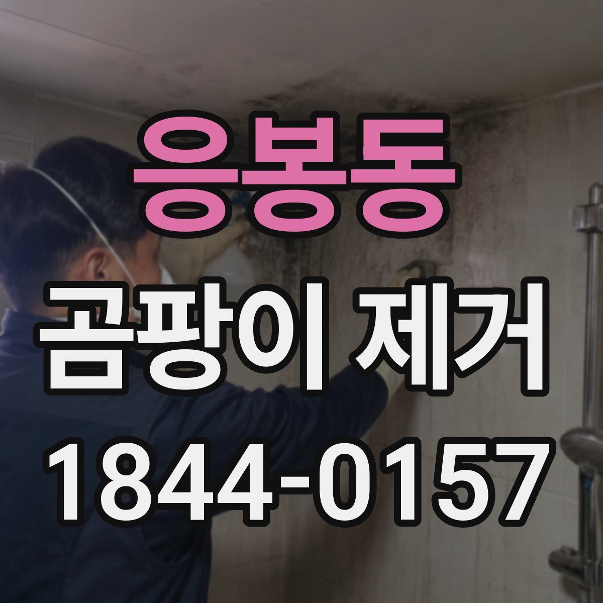 응봉동 곰팡이 제거