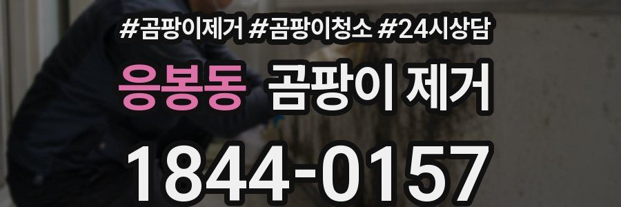응봉동 곰팡이 제거