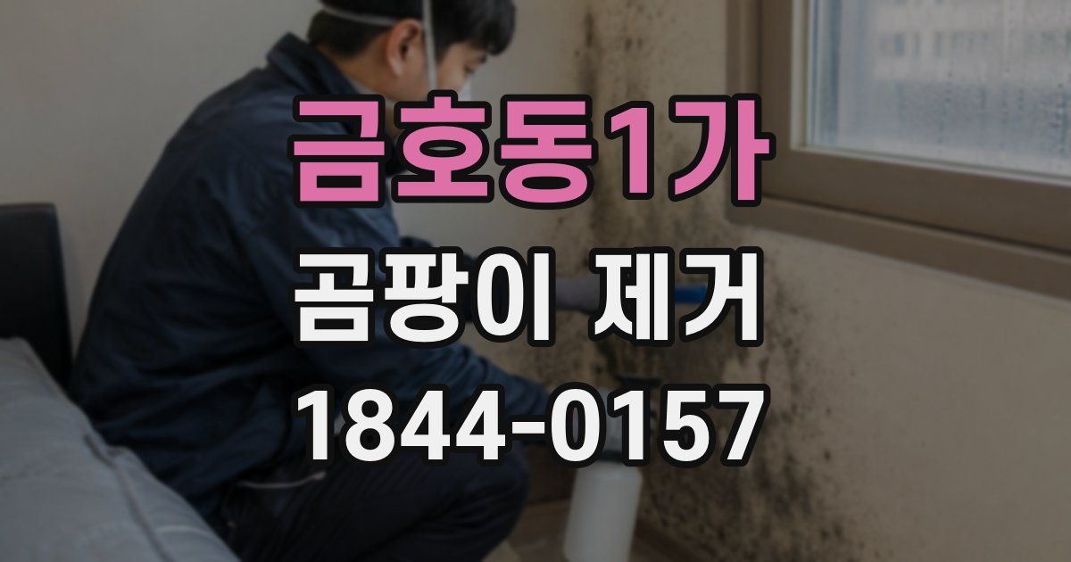 금호동1가 곰팡이 제거