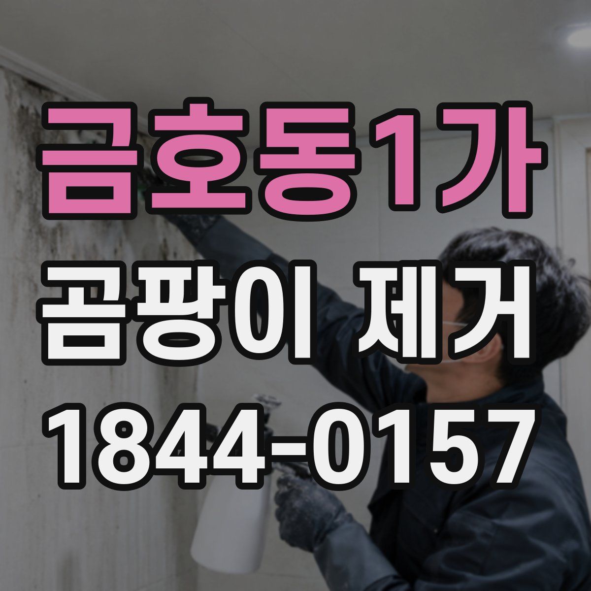 금호동1가 곰팡이 제거