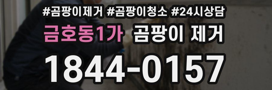 금호동1가 곰팡이 제거