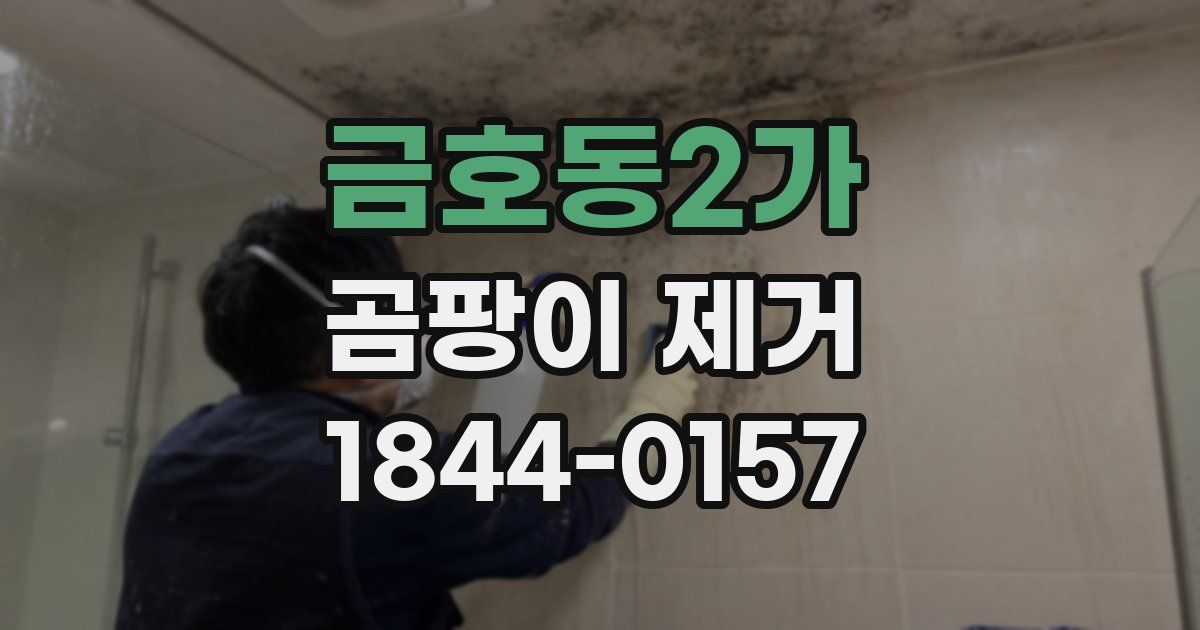 금호동2가 곰팡이 제거