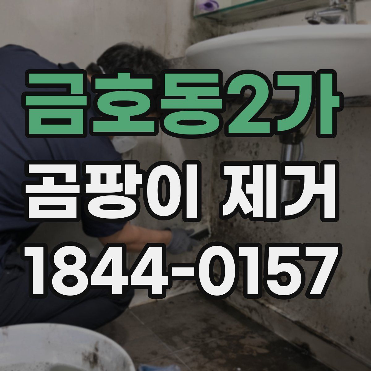 금호동2가 곰팡이 제거