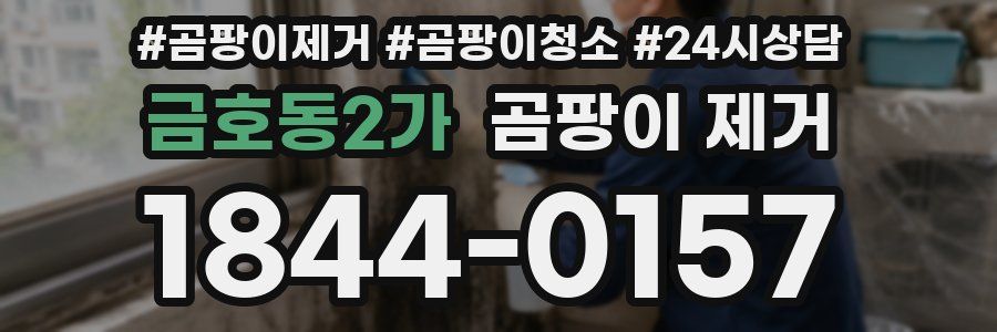 금호동2가 곰팡이 제거