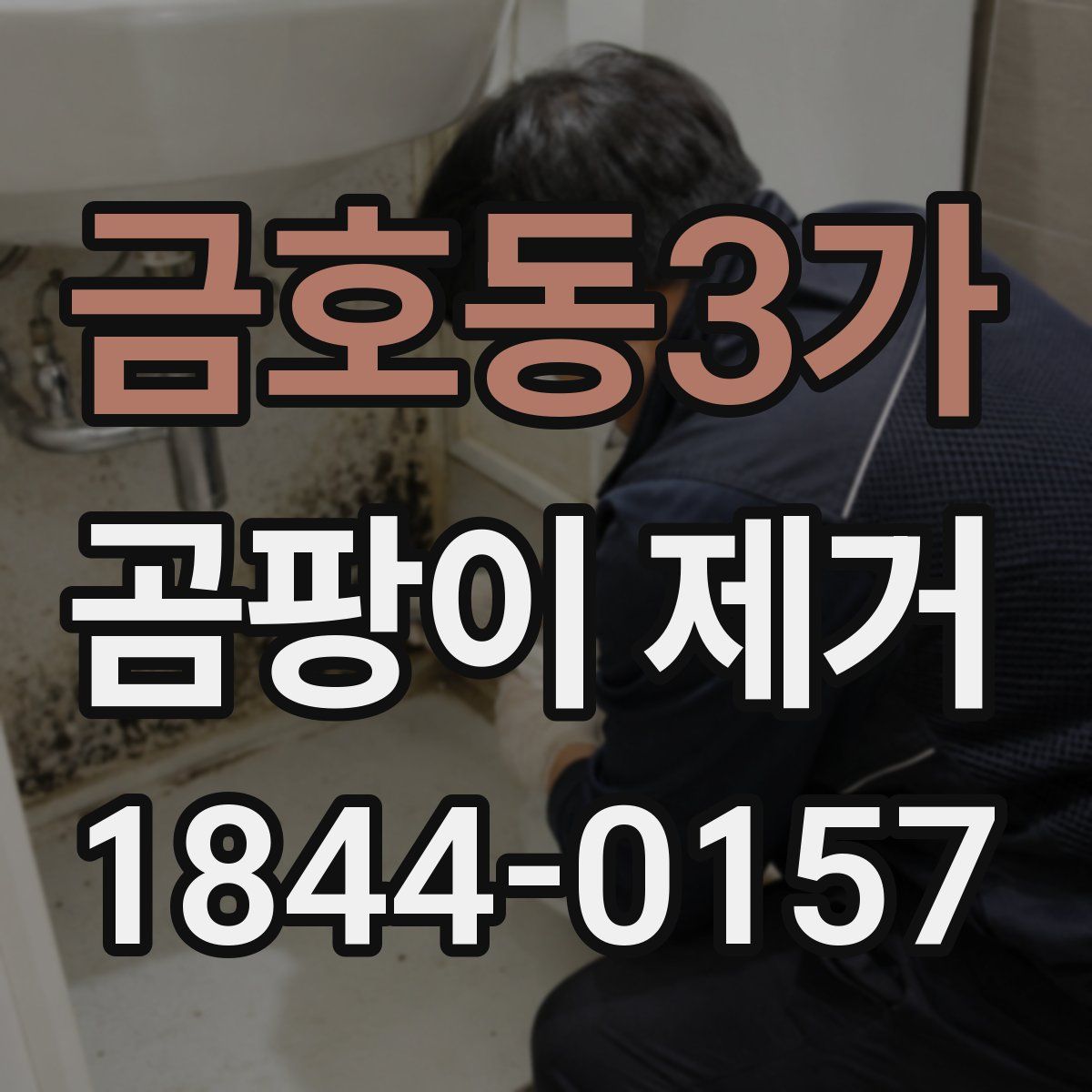 금호동3가 곰팡이 제거