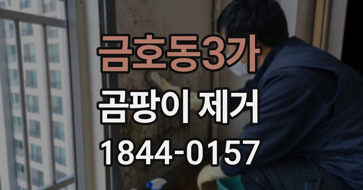 금호동3가 곰팡이 제거