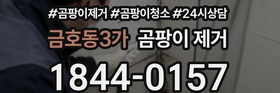 금호동3가 곰팡이 제거