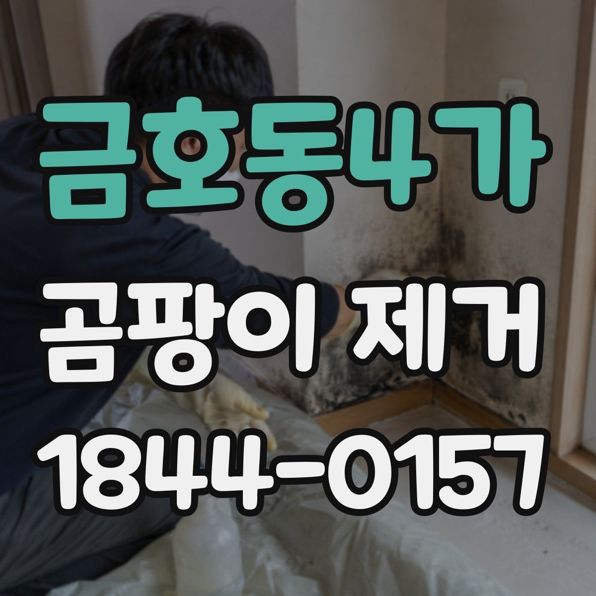 금호동4가 곰팡이 제거 천장 얼룩이 넓어지기 전 확인 포인트