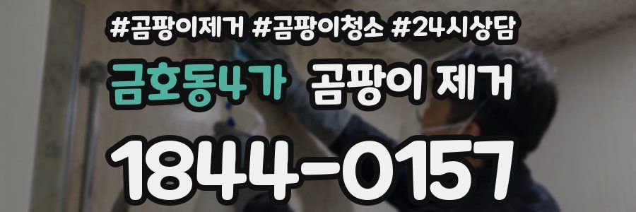금호동4가 곰팡이 제거