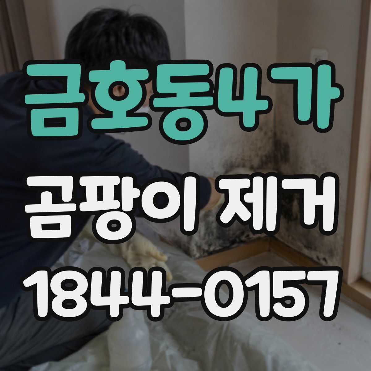 금호동4가 곰팡이 제거