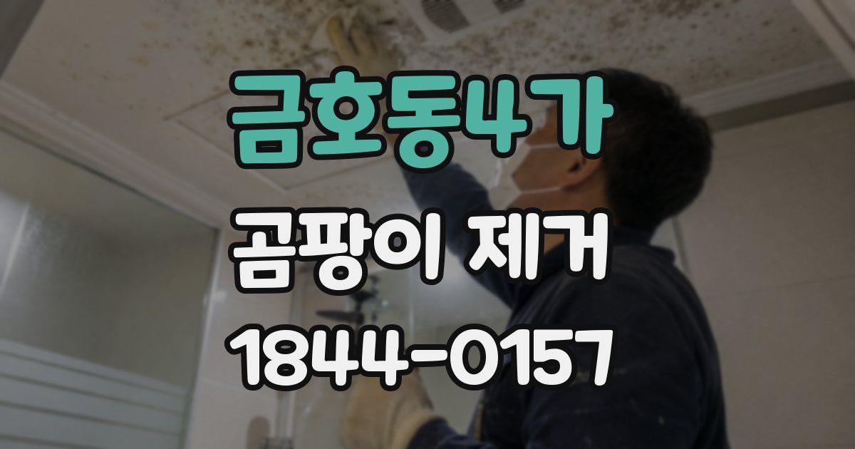 금호동4가 곰팡이 제거