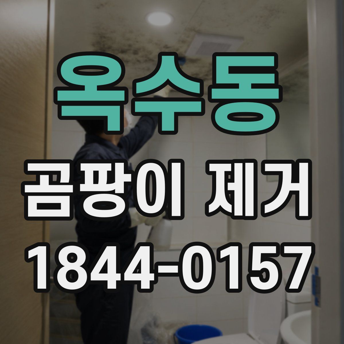 옥수동 곰팡이 제거