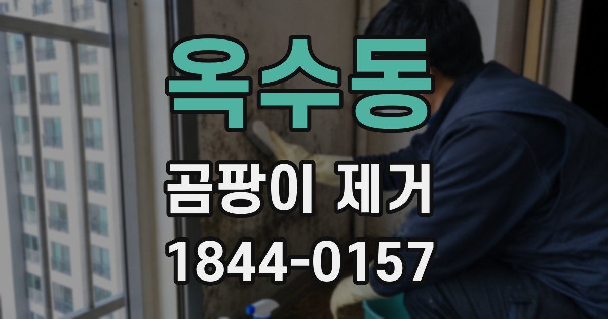 옥수동 곰팡이 제거