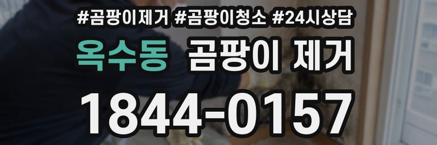옥수동 곰팡이 제거