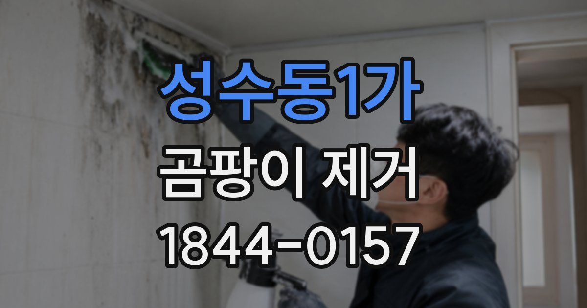 성수동1가 곰팡이 제거