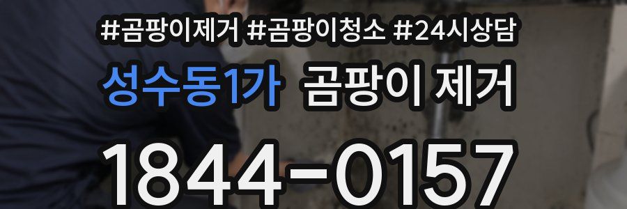 성수동1가 곰팡이 제거