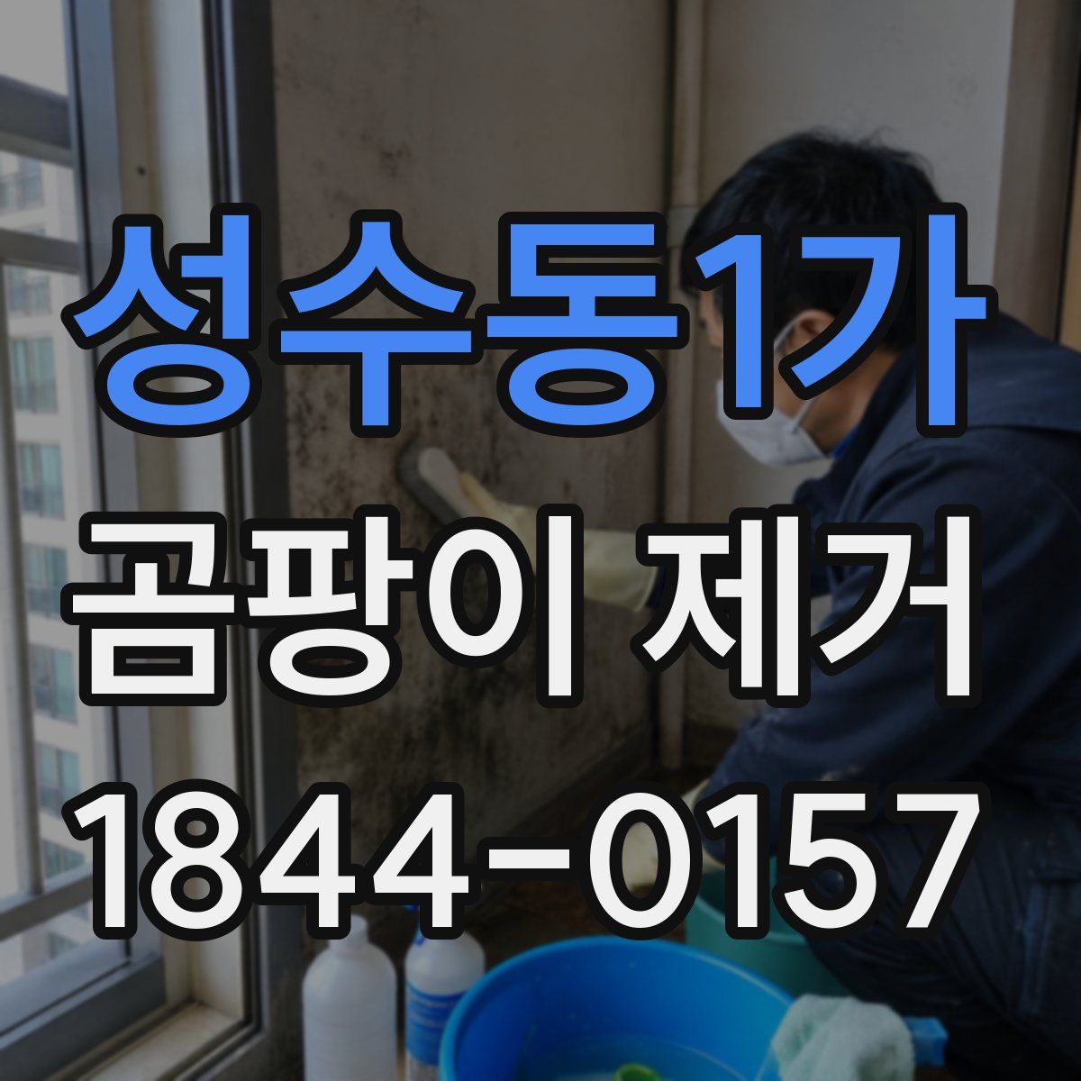 성수동1가 곰팡이 제거