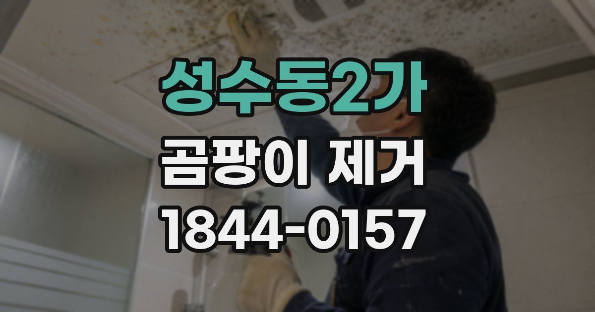 성수동2가 곰팡이 제거