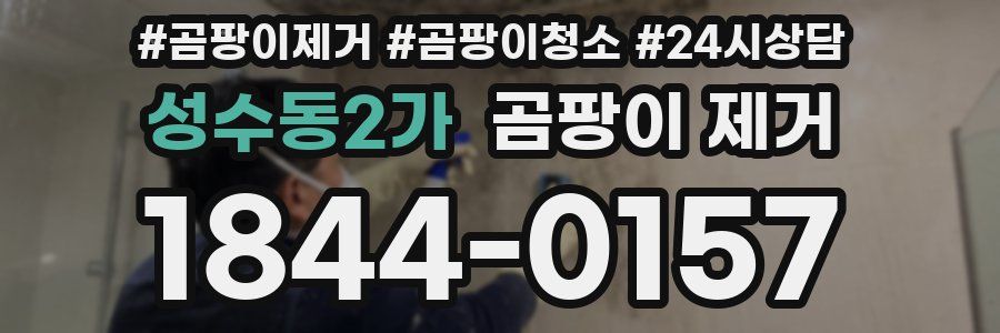 성수동2가 곰팡이 제거