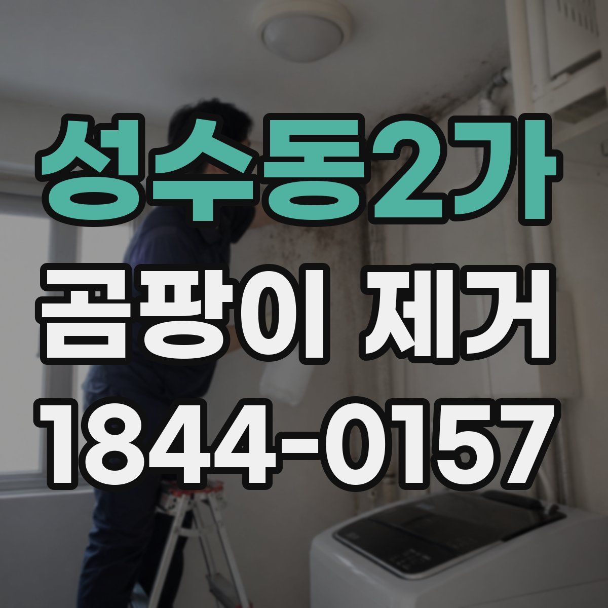 성수동2가 곰팡이 제거