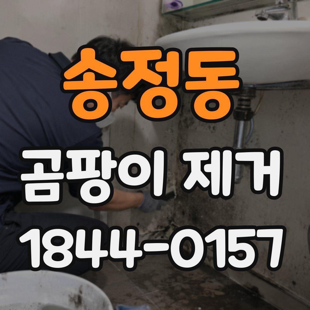 송정동 곰팡이 제거 가전·에어컨 점검부터 확인하는 순서