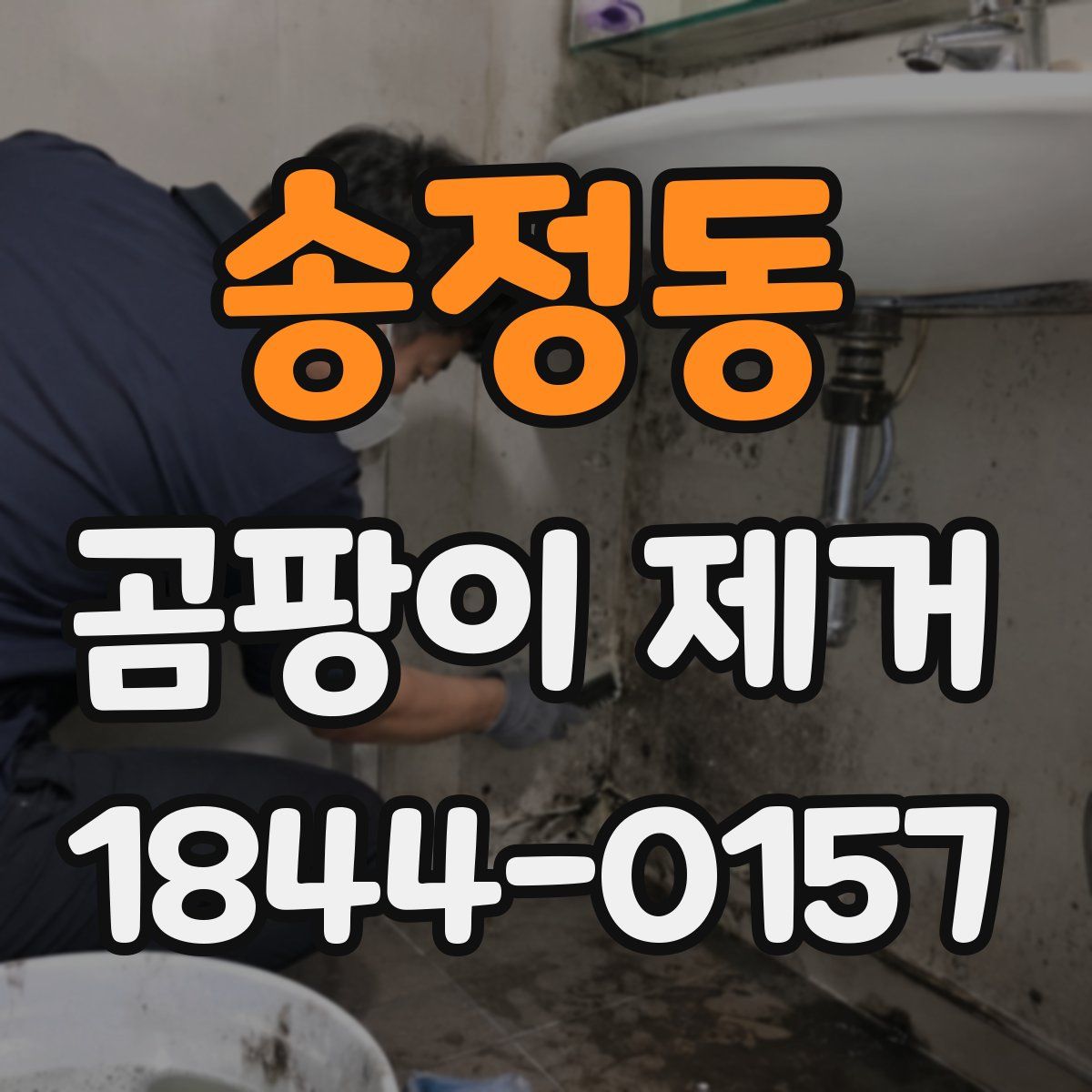 송정동 곰팡이 제거