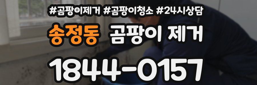 송정동 곰팡이 제거