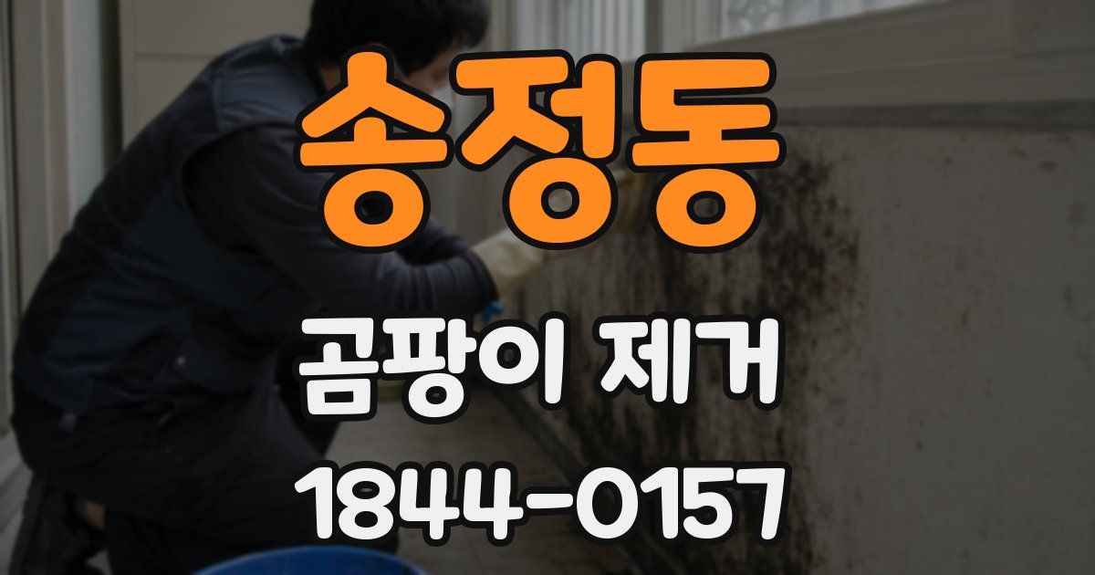 송정동 곰팡이 제거