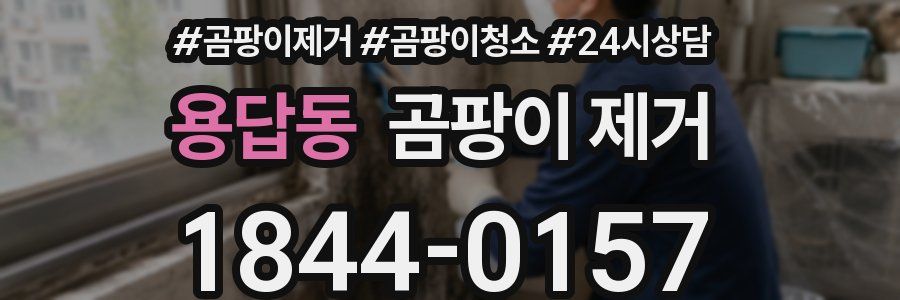 용답동 곰팡이 제거