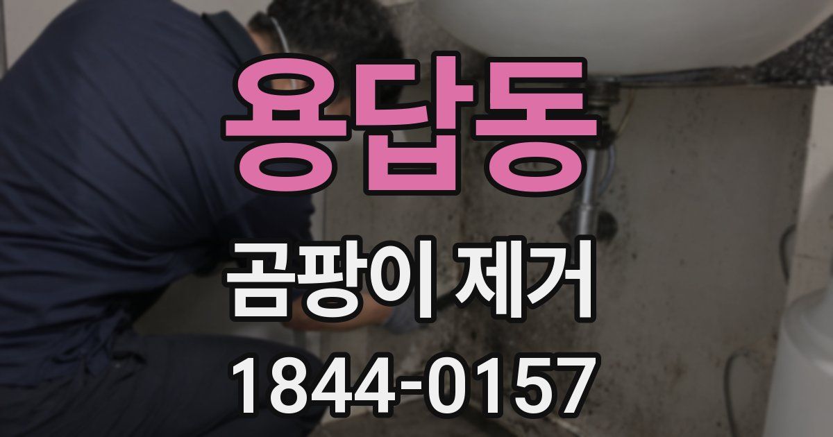 용답동 곰팡이 제거