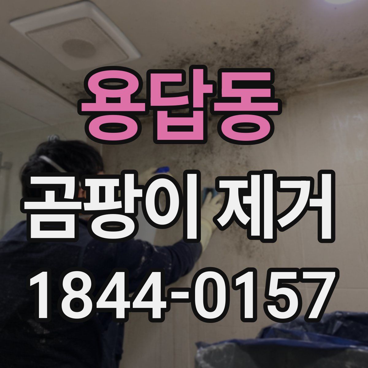 용답동 곰팡이 제거