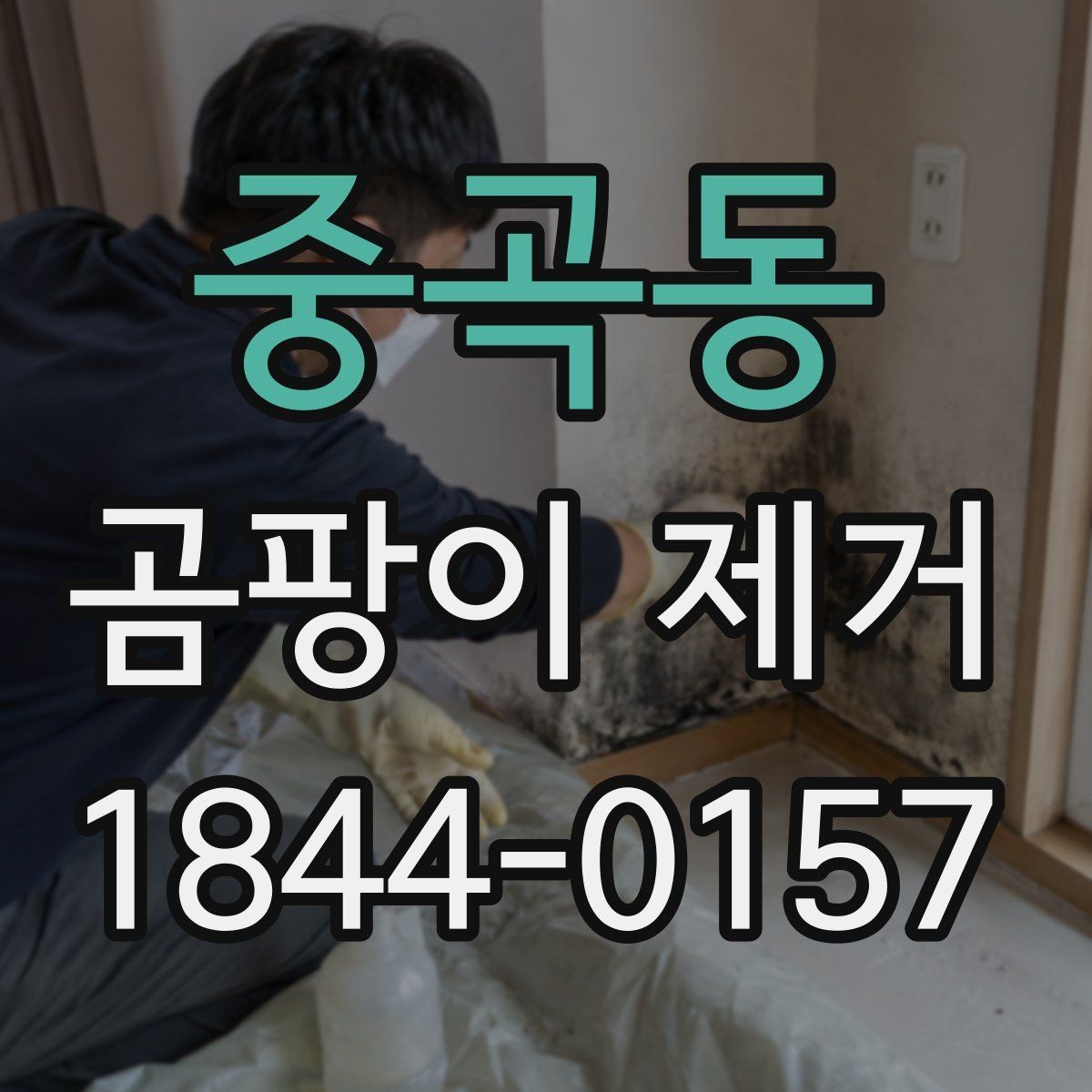 중곡동 곰팡이 제거 세탁실에서 자주 놓치는 습기 요인