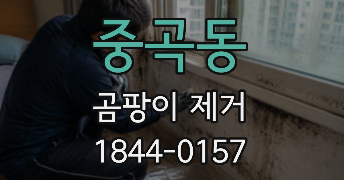 중곡동 곰팡이 제거