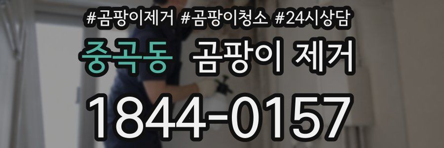 중곡동 곰팡이 제거