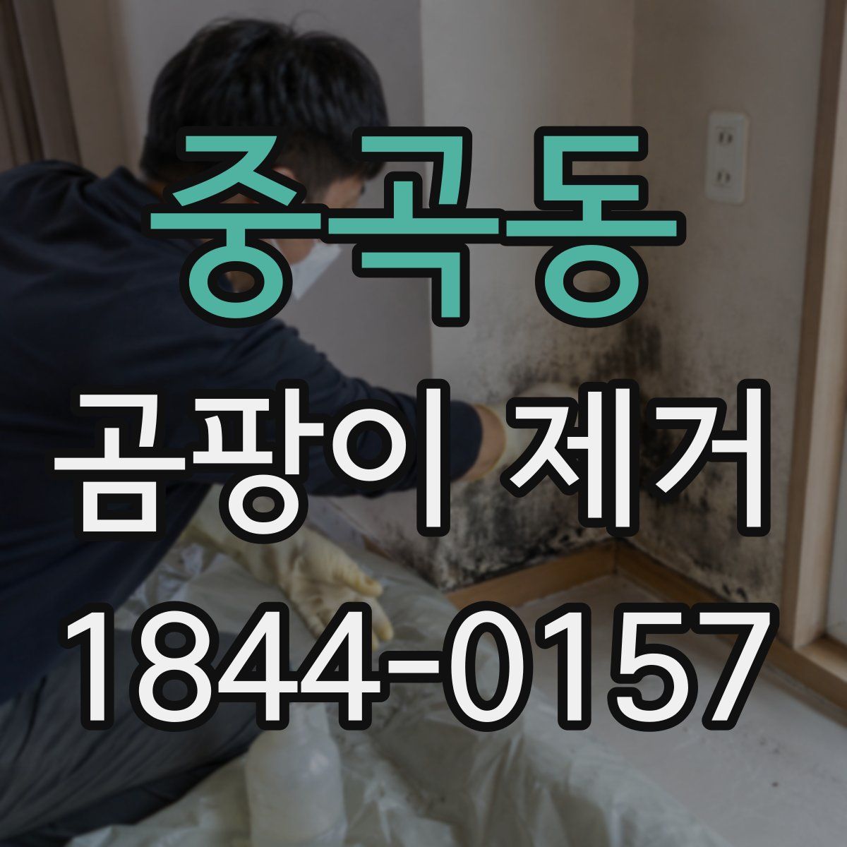 중곡동 곰팡이 제거